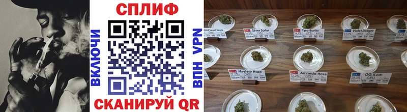 Бошки Шишки семена  дарнет шоп  Облучье 
